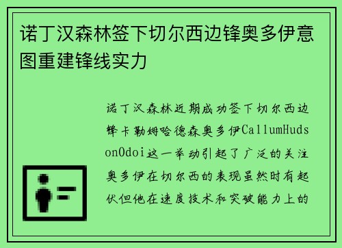 诺丁汉森林签下切尔西边锋奥多伊意图重建锋线实力 诺丁汉森林签下切尔西边锋奥多伊意图重建锋线实力